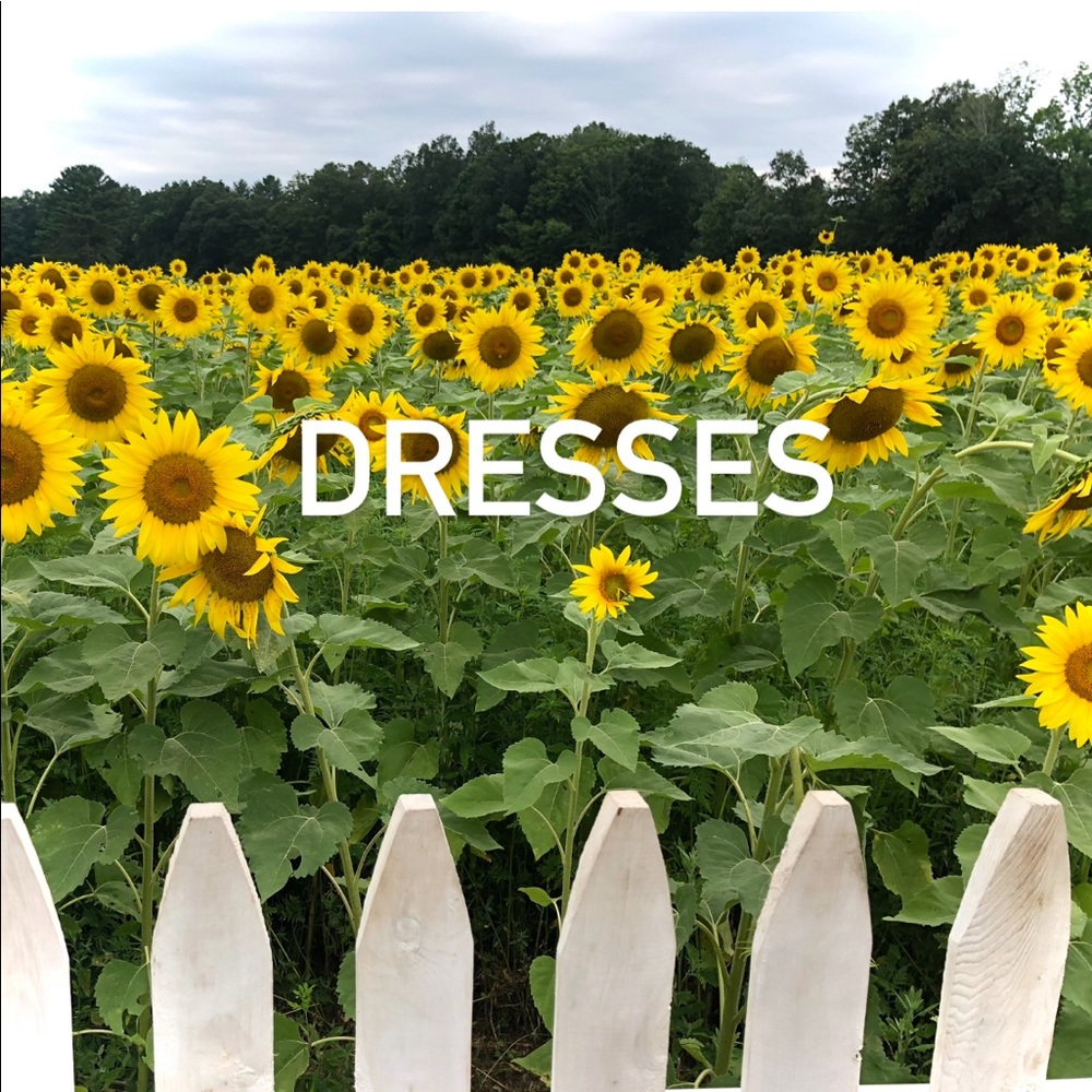 👗 dresses 👗